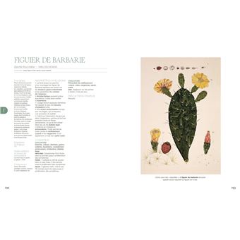 La grande encyclopédie de l'herboristerie