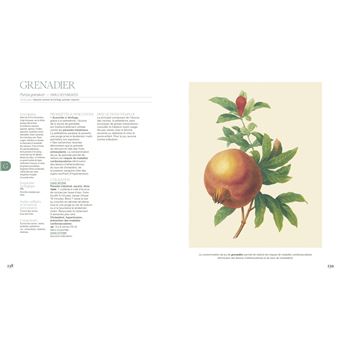 La grande encyclopédie de l'herboristerie