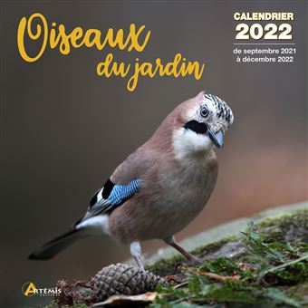 Calendrier Jardin 2022 Calendrier Oiseaux du jardin 2022   broché   COLLECTIF.   Achat 
