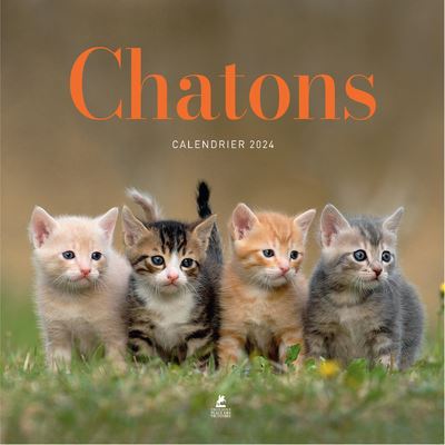 Calendrier chaton 2024