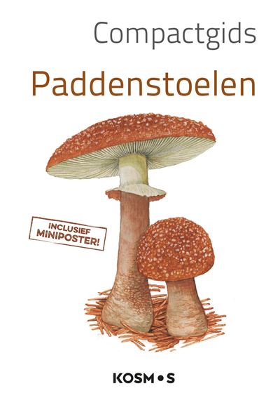 Paddenstoelen