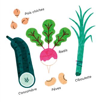 Mes imagiers tout carrés - Les fruits et légumes de mon assiette