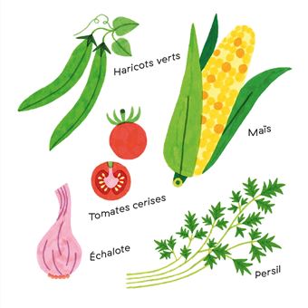 Mes imagiers tout carrés - Les fruits et légumes de mon assiette