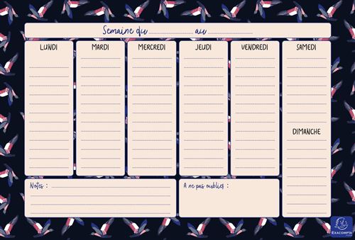 EXACPTA AG8/9 HEBDOPLANNER COLORDESIGN