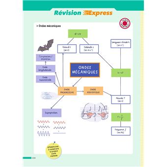 ABC Réussite Physique-Chimie 1re