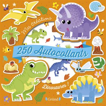 250 Autocollants Dinosaures Boite Ou Accessoire Coralie Vallageas Achat Livre Fnac