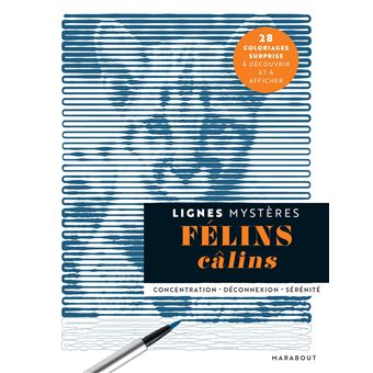 Lignes mystères - Félins câlins