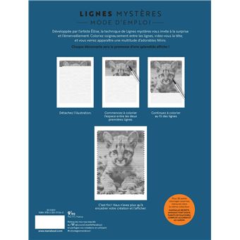 Lignes mystères - Félins câlins