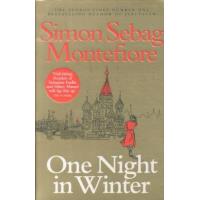 ONE NIGHT IN WINTER