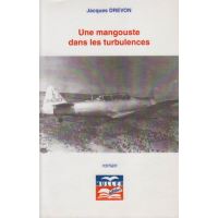 Une mangouste dans les turbulences