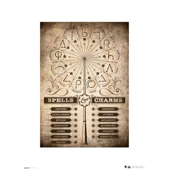 Poster Spells And Charms Harry Potter