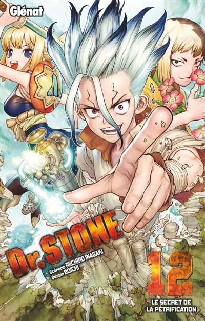 Dr Stone Tome 12 Dr Stone Riichiro Inagaki Boichi Broche Achat Livre Ou Ebook Fnac