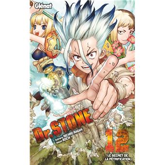 Dr Stone Tome 12 Dr Stone Riichiro Inagaki Boichi Broche Achat Livre Ou Ebook Fnac