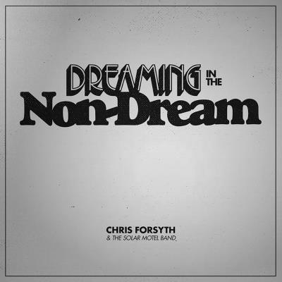 DREAMING IN THE NON DREAM