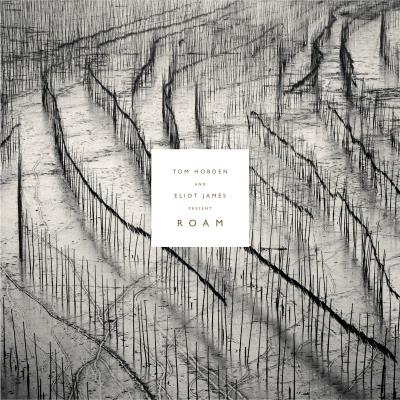 Roam/inclus coupon mp3