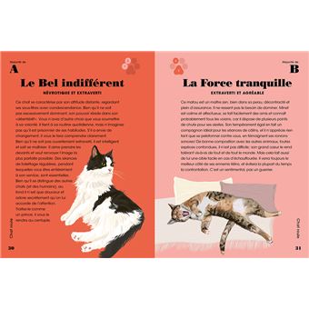 Qui est vraiment votre chat ? - Les tests qui révèlent sa personnalité !