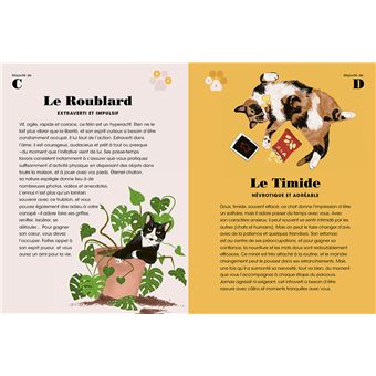 Qui est vraiment votre chat ? - Les tests qui révèlent sa personnalité !