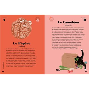 Qui est vraiment votre chat ? - Les tests qui révèlent sa personnalité !