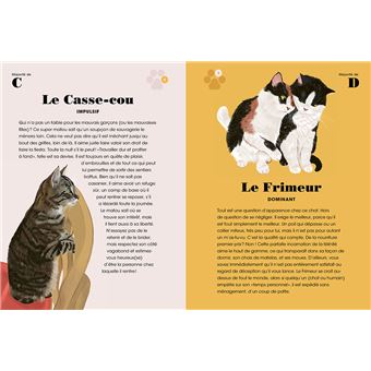 Qui est vraiment votre chat ? - Les tests qui révèlent sa personnalité !