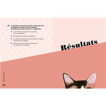 Qui est vraiment votre chat ? - Les tests qui révèlent sa personnalité !
