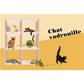 Qui est vraiment votre chat ? - Les tests qui révèlent sa personnalité !