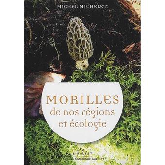 Morilles de nos régions et écologie