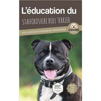 L'éducation du Staffordshire Bull Terrier