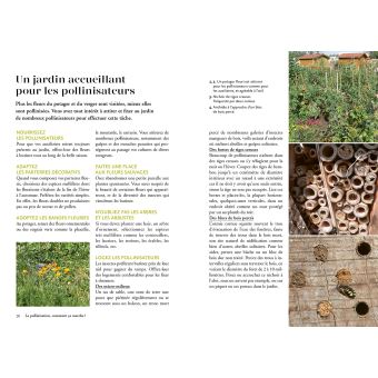 La pollinisation au jardin