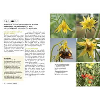 La pollinisation au jardin