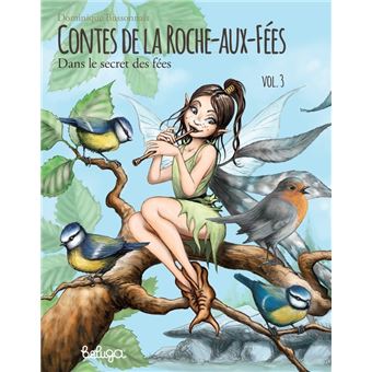 T 3 - les contes de la roche aux fees