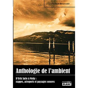 Anthologie De L Ambiant D Erik Satie A Moby Nappes Aeroports Et Paysages Sonores Relie Olivier Bernard Achat Livre Ou Ebook Fnac