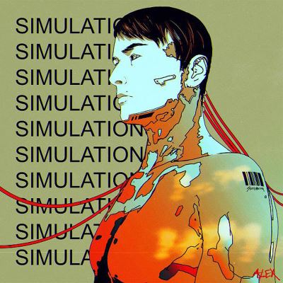 Simulations Vinyle blanc