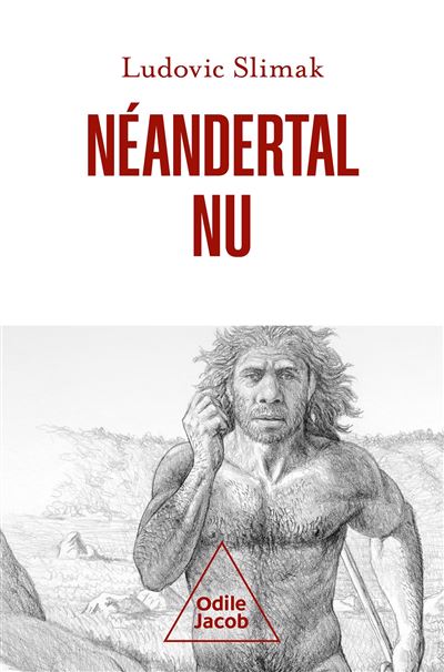 Néandertal nu Comprendre la créature humaine - broché - Ludovic Slimak -  Achat Livre ou ebook | fnac