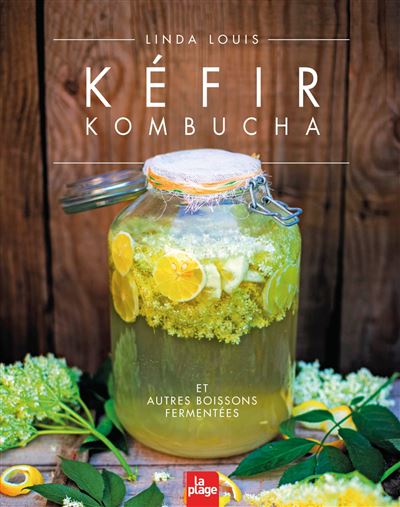 Kéfir, kombucha et autres boissons fermentées (BF2)