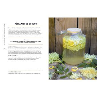 Kéfir kombucha
