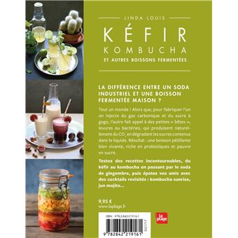 Kéfir kombucha