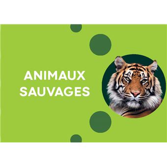 Le maxi quiz de la Grande Imagerie
