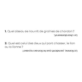 Le maxi quiz de la Grande Imagerie