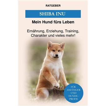 Shiba Inu - 1