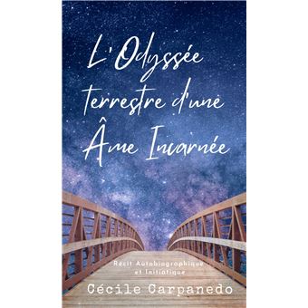L'Odyssée terrestre d'une âme incarnée