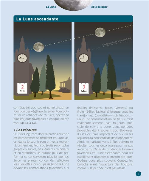 Calendrier Lunaire 2023 Legumes Réussir Son Potager Avec La Lune 2022-2023 - Broché - Thérèse Tredoulat -  Achat Livre | Fnac