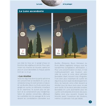 Réussir son potager avec la Lune 2022-2023