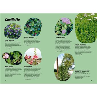 Bivouac et bonne tambouille - Recettes de randonnée