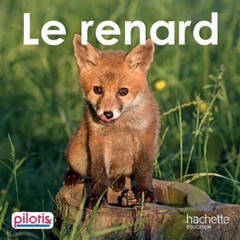 Lecture CP - Collection Pilotis - Le Renard - Album