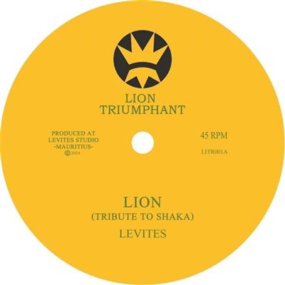 Lion - Tribute To Shaka