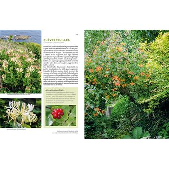 Toutes les plantes grimpantes