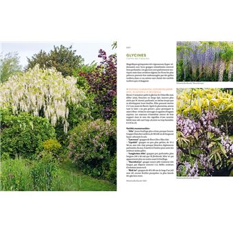 Toutes les plantes grimpantes