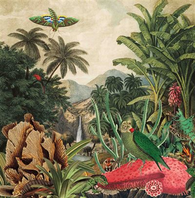 IMAGINARY ISLAND MUSI VOL. 1: CANARY ISLANDS
