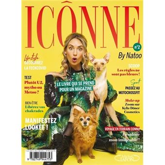 Icônne - numéro 2
