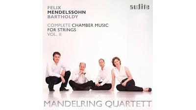 Die Kammermusik Für Streicher Vol.2